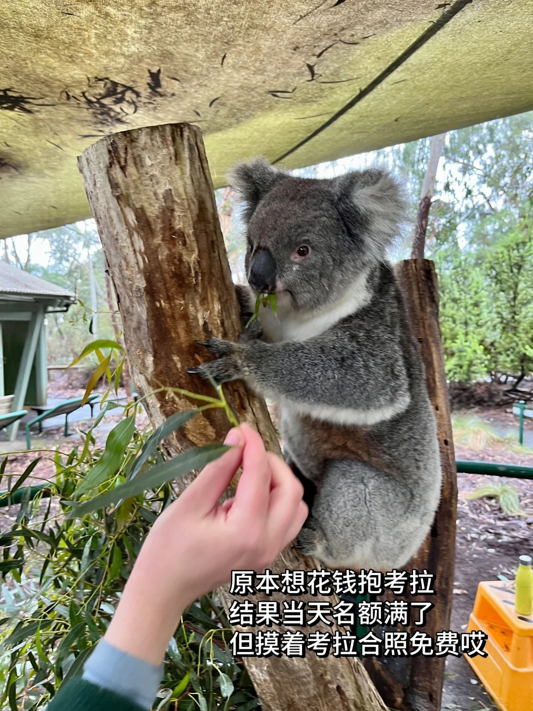 图片7