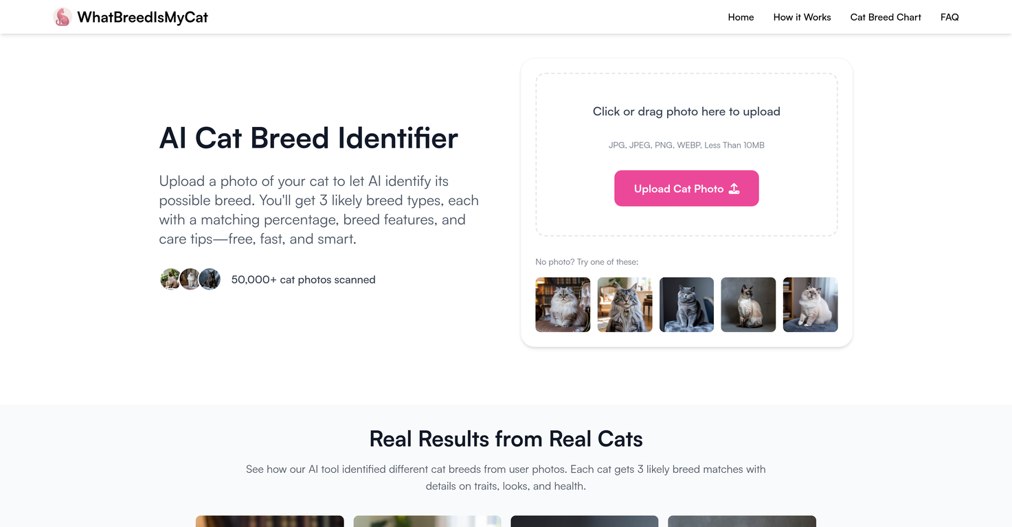 WhatBreedIsMyCat image